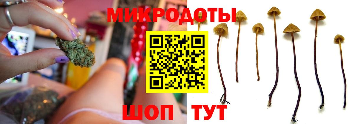 Галлюциногенные грибы GOLDEN TEACHER Семёнов